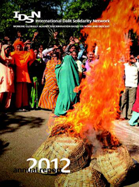 IDSN Annual Report 2012